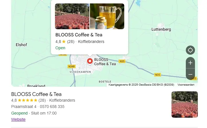 Local business structured data.